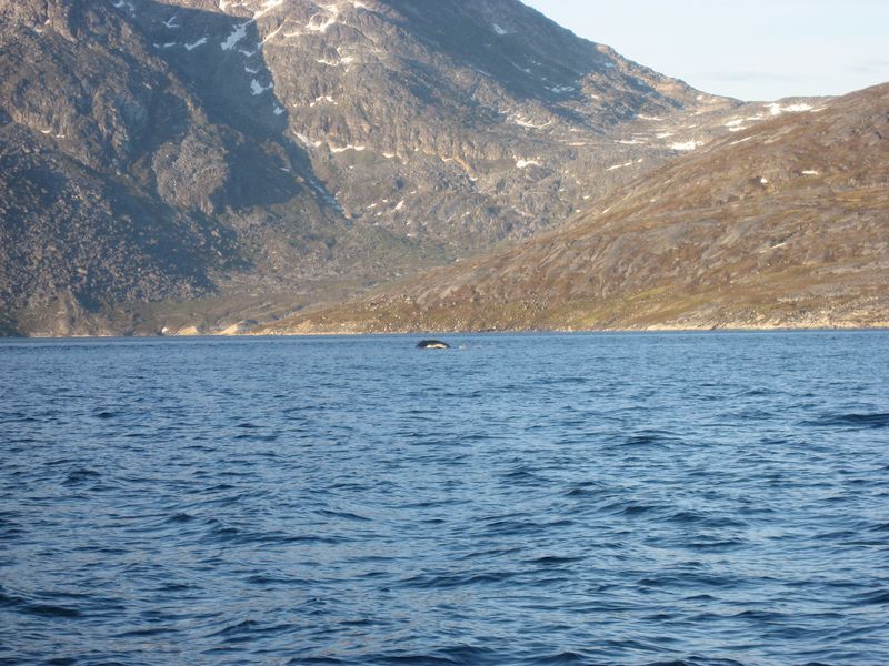 2007-07-04_saeljagt_053