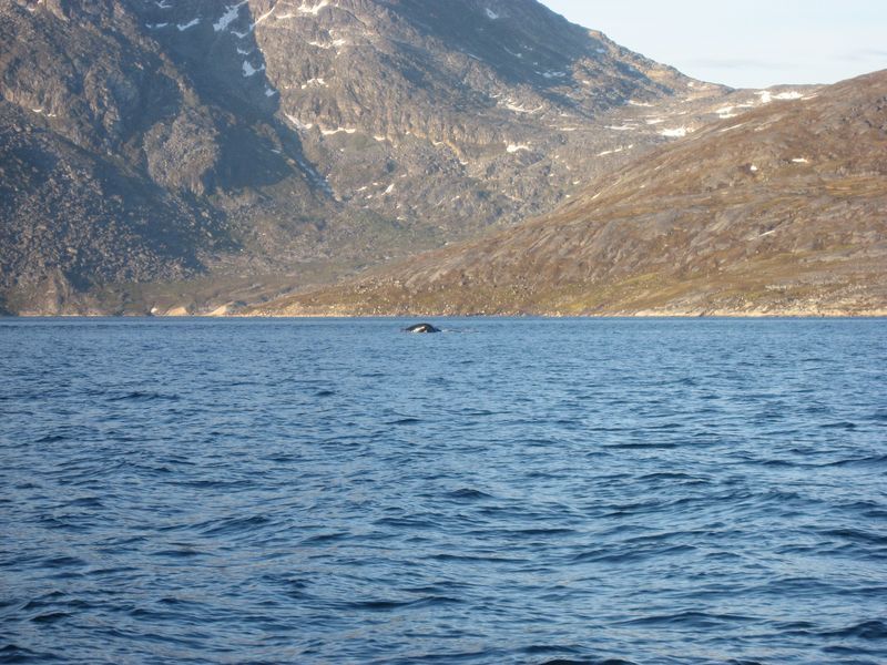 2007-07-04_saeljagt_054