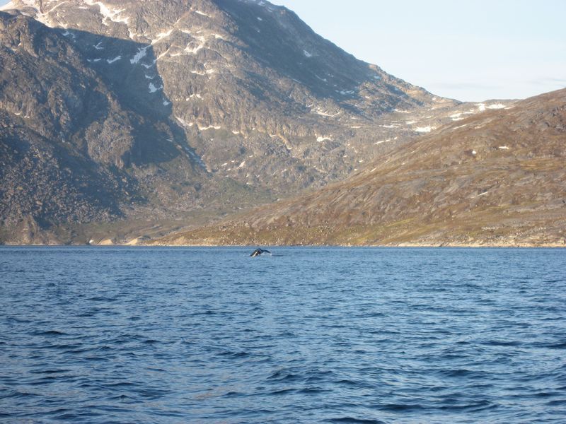 2007-07-04_saeljagt_055