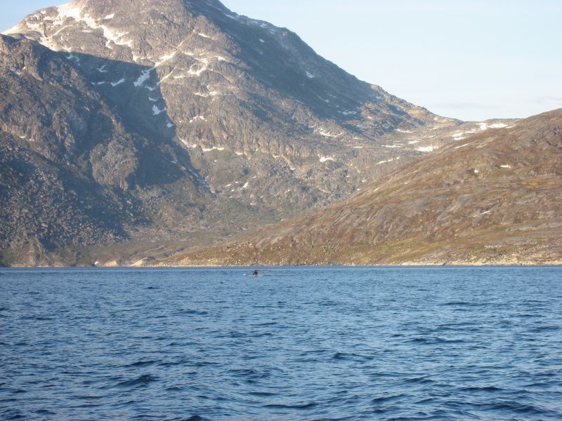 2007-07-04_saeljagt_056