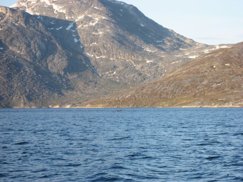 2007-07-04_saeljagt_057