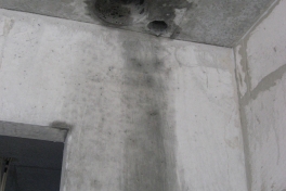 2007-07-06_qinngorput_001