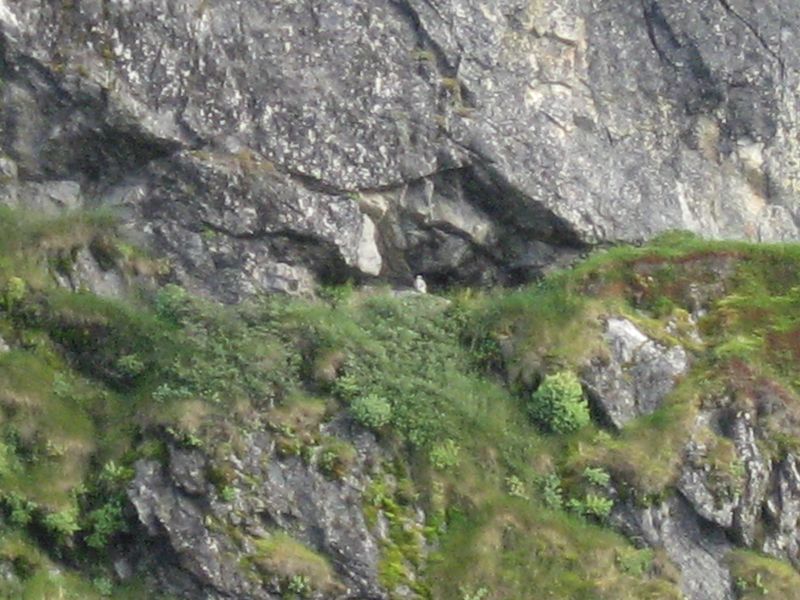 2007-08-10_natsilik_014