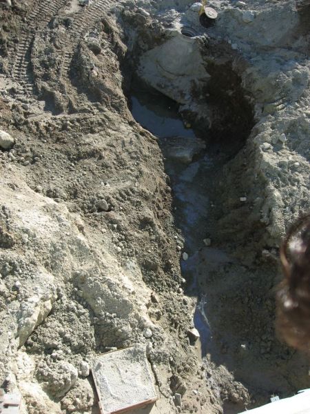 2007-08-12_malina_004