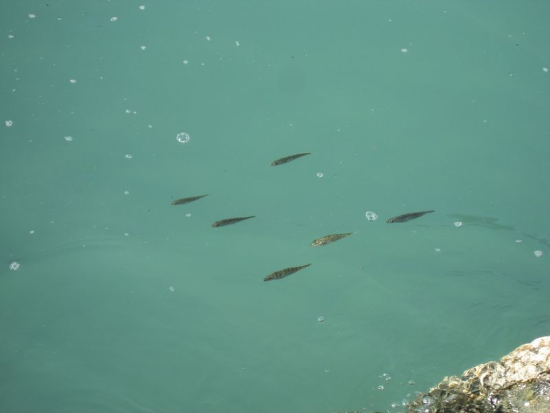 2007-08-18_tasiussarsuaq_soeren_barn_jens_diana_023