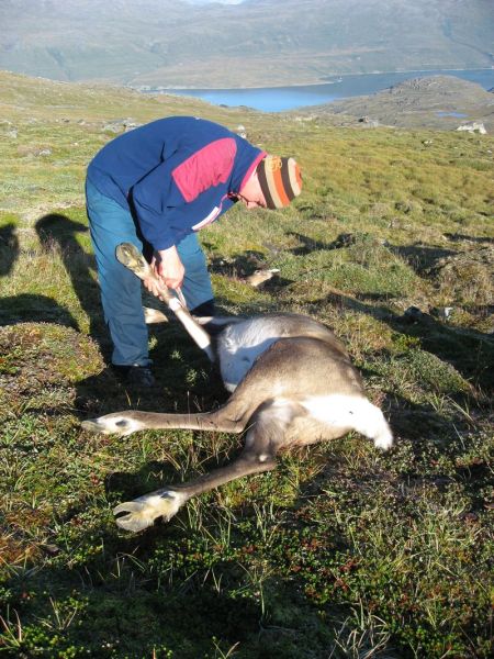 2007-08-31_ameralik_rensdyrjagt_040