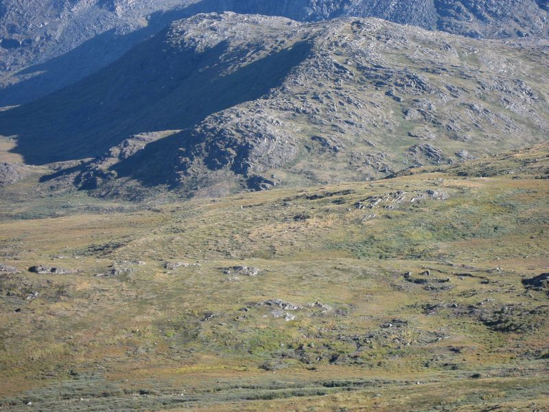 2007-08-31_ameralik_rensdyrjagt_044