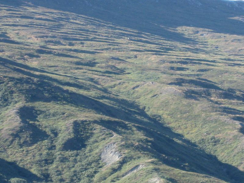 2007-08-31_ameralik_rensdyrjagt_066