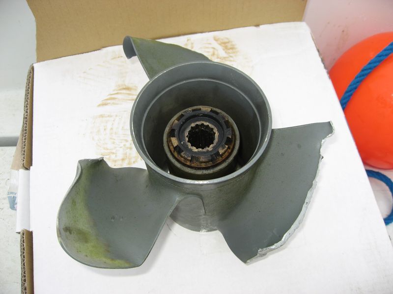 2007-09-06_moskusjagt_009