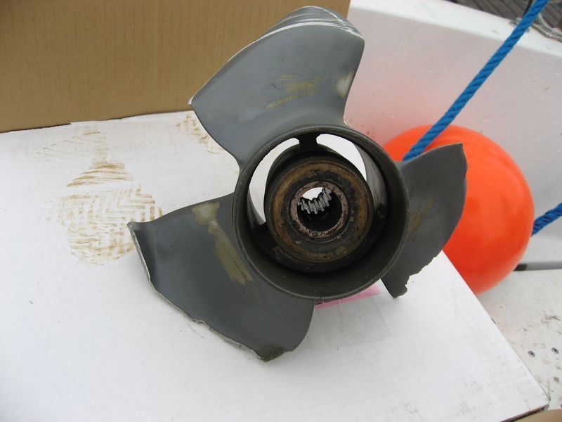 2007-09-06_moskusjagt_013