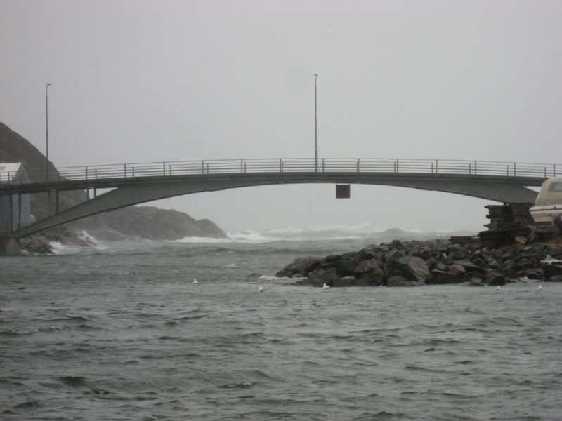 2007-09-06_moskusjagt_021