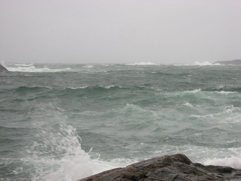 2007-09-06_moskusjagt_024