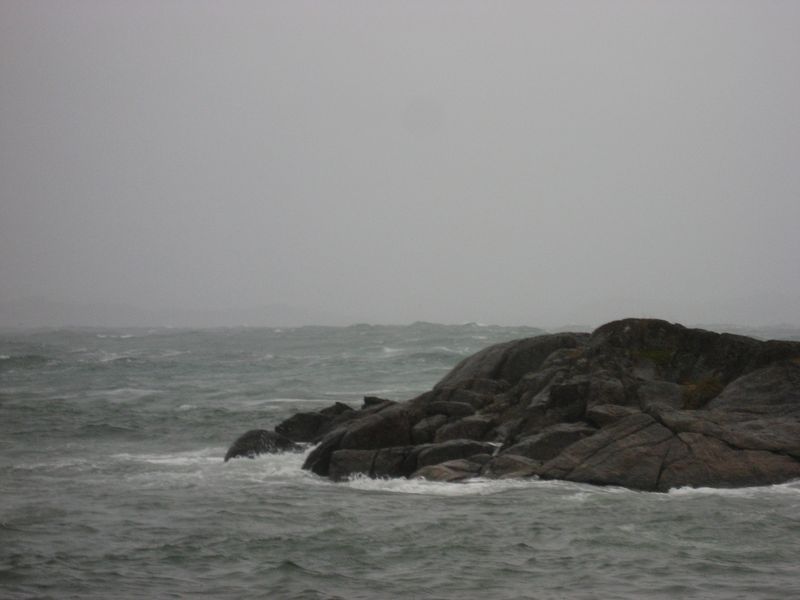 2007-09-06_moskusjagt_043