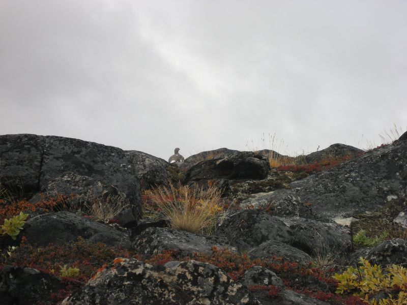 2007-09-06_moskusjagt_095