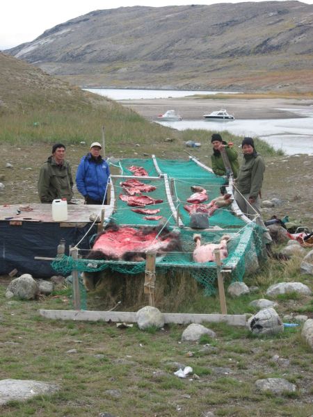 2007-09-06_moskusjagt_115