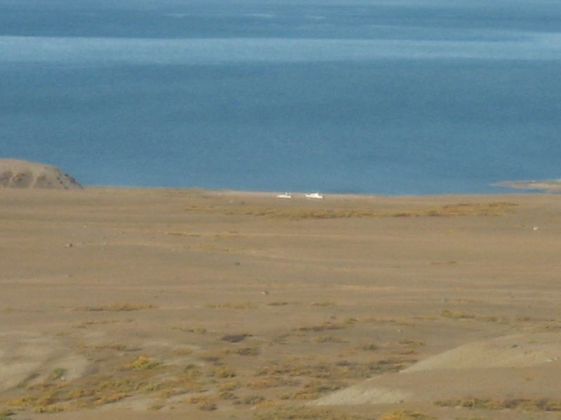 2007-09-06_moskusjagt_127