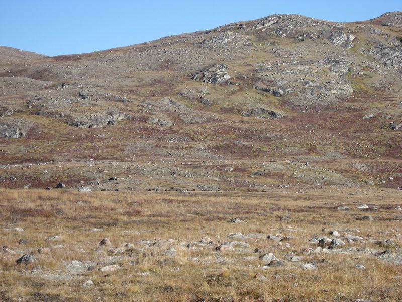 2007-09-06_moskusjagt_136