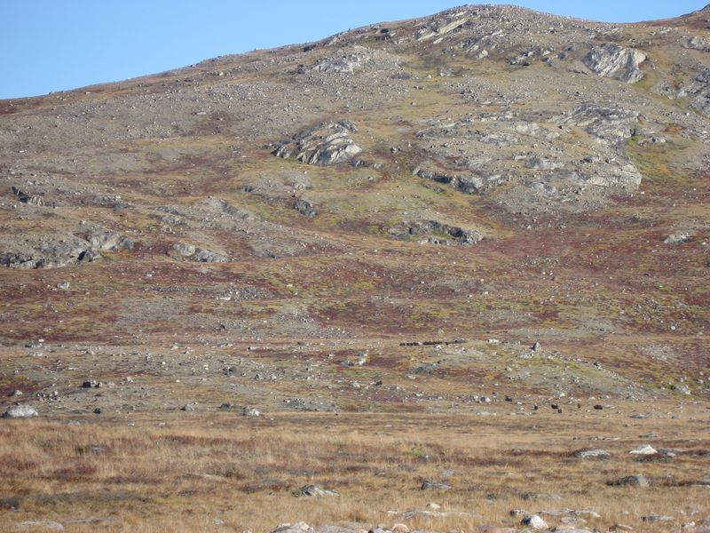 2007-09-06_moskusjagt_141