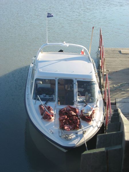 2007-09-06_moskusjagt_156