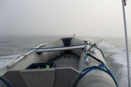 2007-09-06_moskusjagt_001