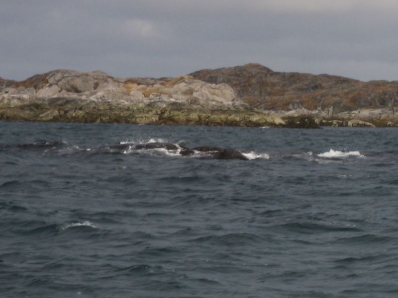 2007-09-28_maniitsoq-nuuk_077