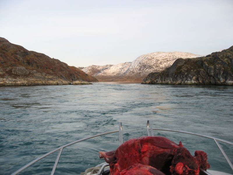 2007-09-29_sermilik_alu_013