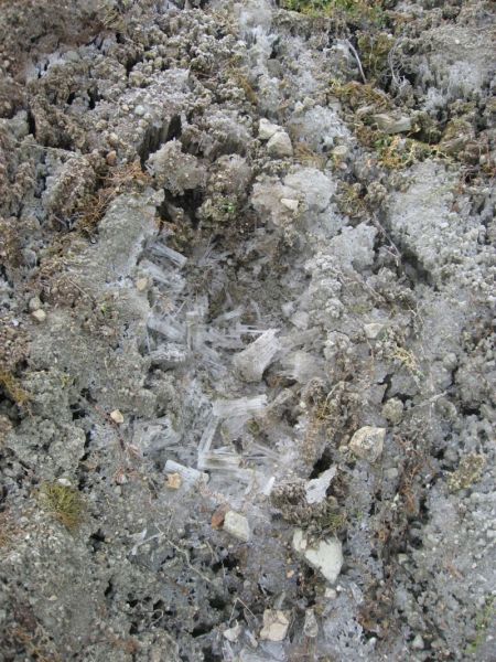 2007-09-29_sermilik_alu_015