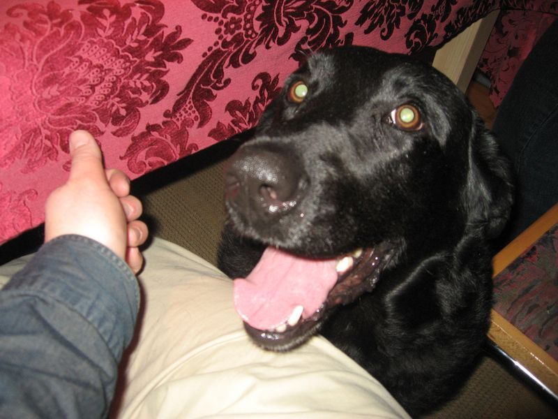 2007-10-31_sammy_018