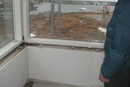 2007-11-18_malina_001