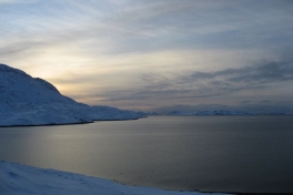 2007-12-08_malina_001