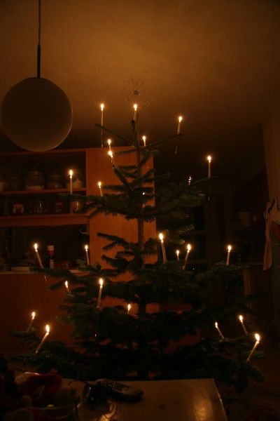 2007-12-15_malina_150