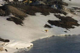 2008-05-04_jesper_kajaktur_001