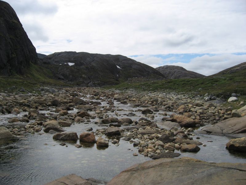 2008-06-27_kanasut_bruno_palle_maren_pjuske_025