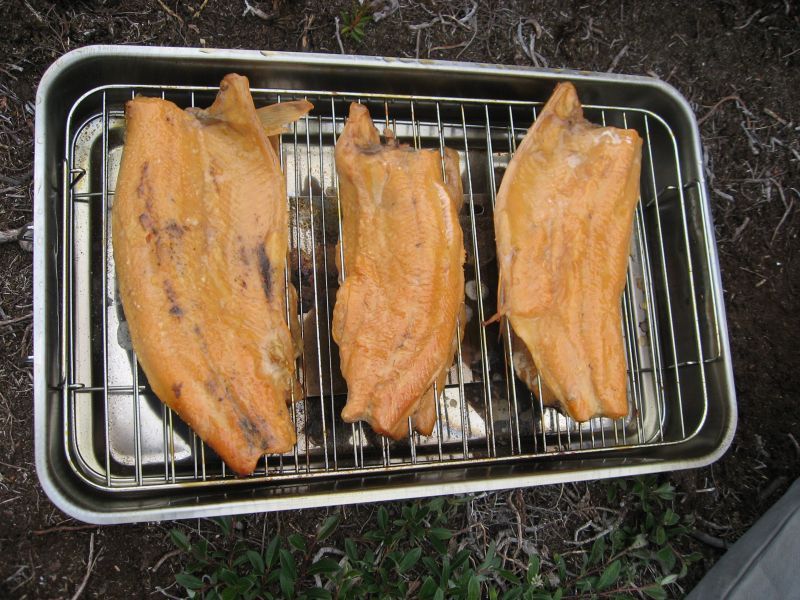 2008-06-27_kanasut_bruno_palle_maren_pjuske_060