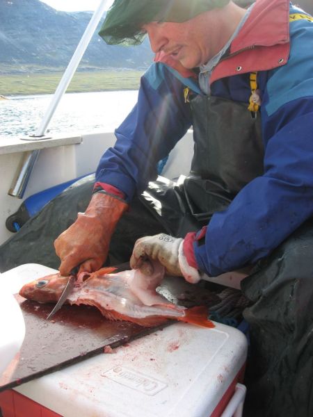 2008-07-19_qorqut_mette_ivalo_karin_soeren_roedfisk_44_