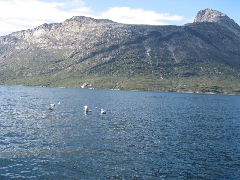 2008-07-19_qorqut_mette_ivalo_karin_soeren_roedfisk_45_