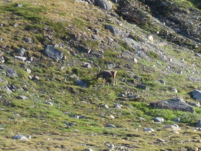 2008-07-25_kanasut_038