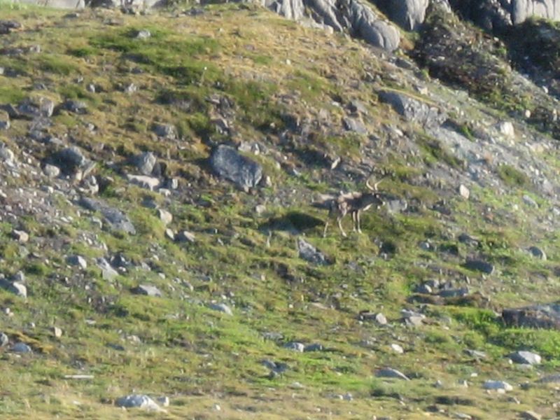 2008-07-25_kanasut_040