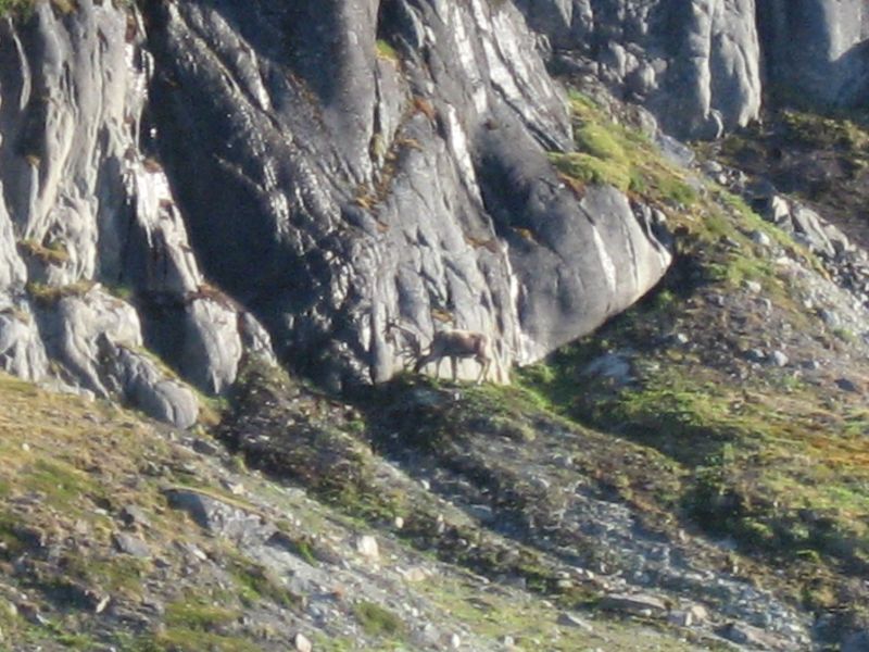 2008-07-25_kanasut_044