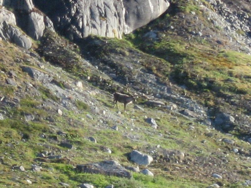 2008-07-25_kanasut_046