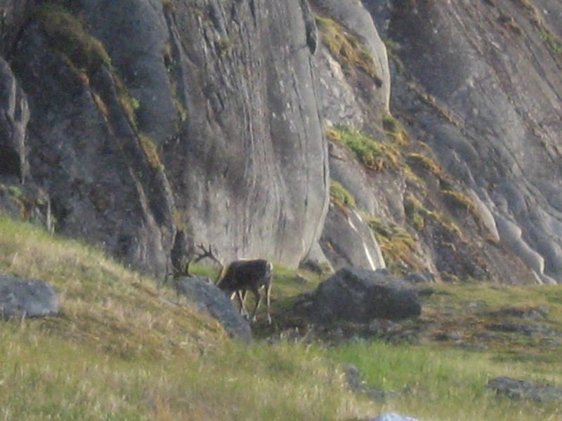 2008-07-25_kanasut_049