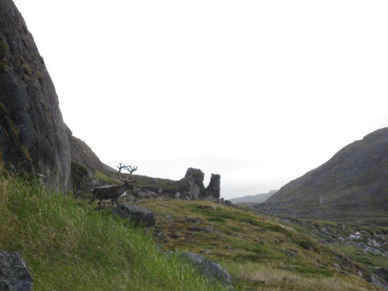 2008-07-25_kanasut_053