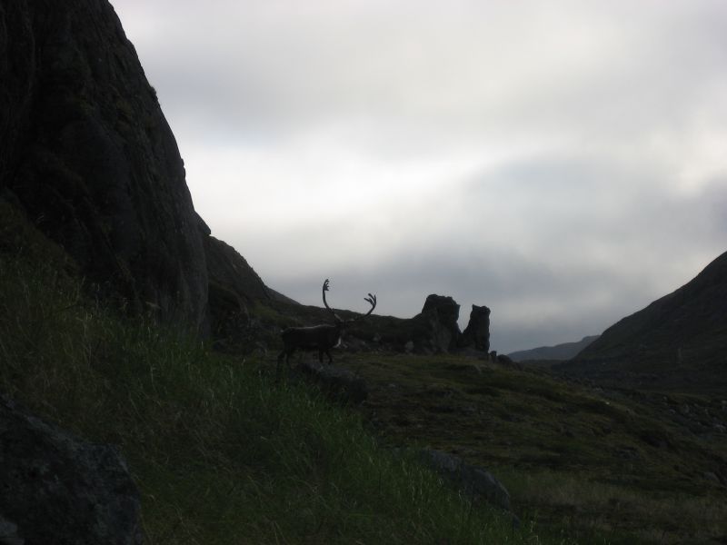 2008-07-25_kanasut_055