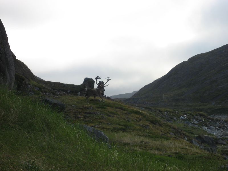 2008-07-25_kanasut_056