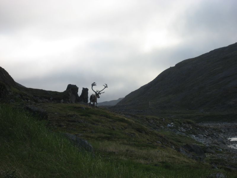 2008-07-25_kanasut_057