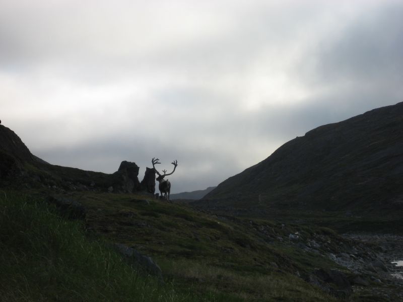 2008-07-25_kanasut_058