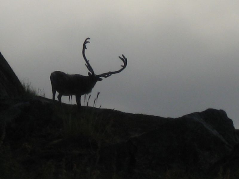 2008-07-25_kanasut_059