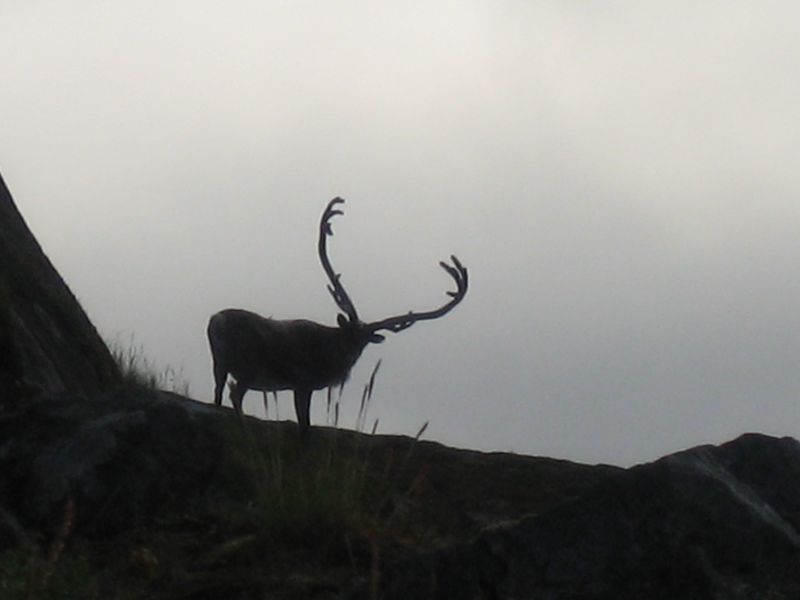 2008-07-25_kanasut_061