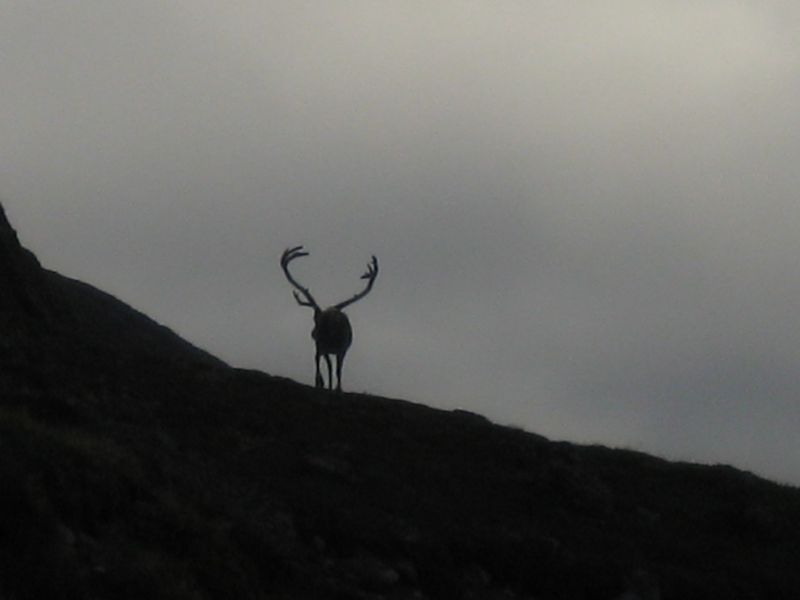 2008-07-25_kanasut_063