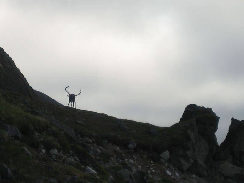 2008-07-25_kanasut_064